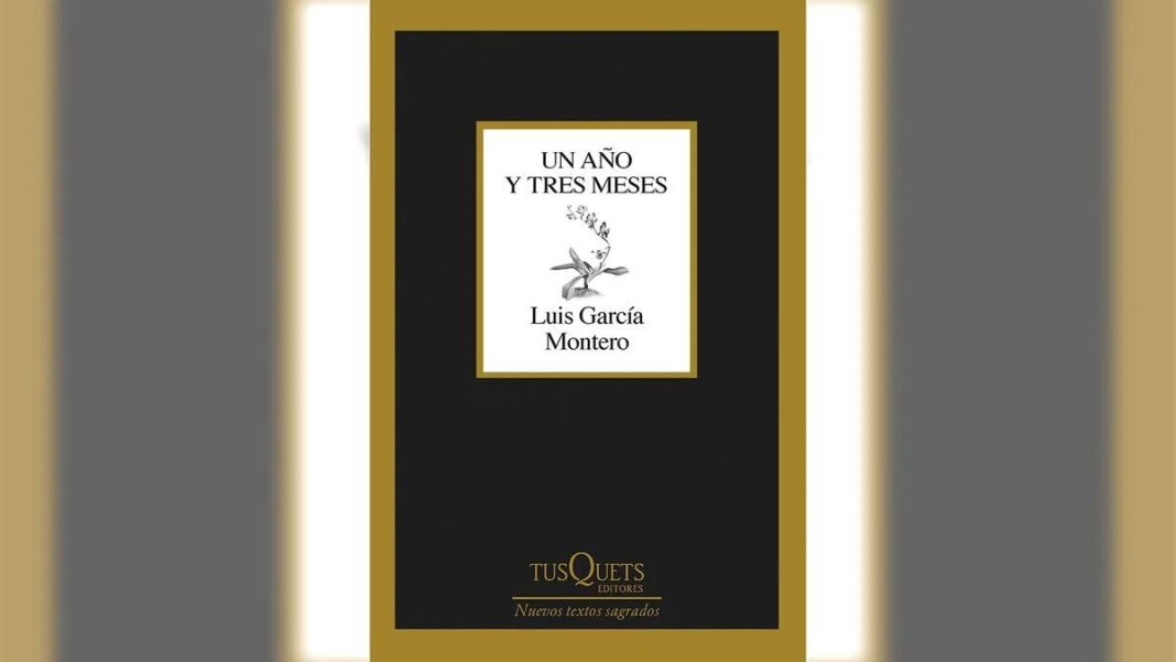 Un año y tres meses de Luis García Montero