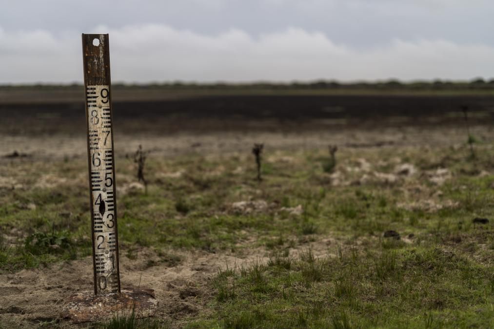 Desafíos Para España En 2024: Salvaguardando El Futuro De Doñana