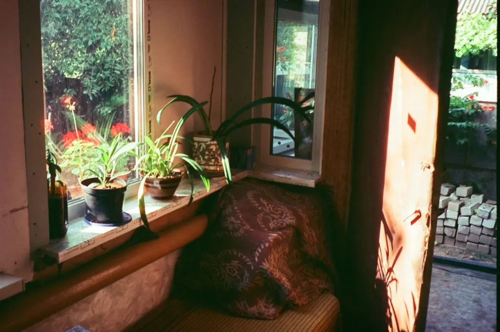 Ventana cerrada o ventana abierta: el mejor método para protegernos contra  el calor según la ciencia