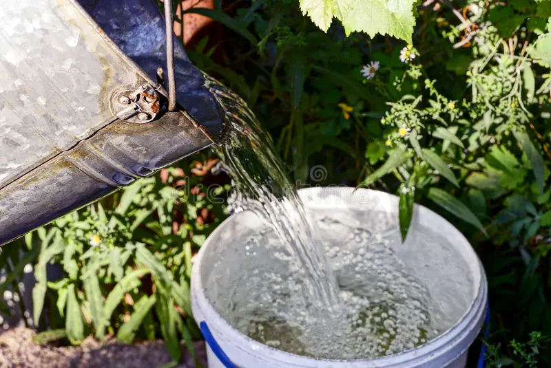 Reutilización Y Reciclaje De Agua