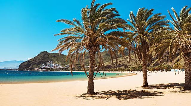 Tenerife En Mayo. Vibrante Energía Primaveral