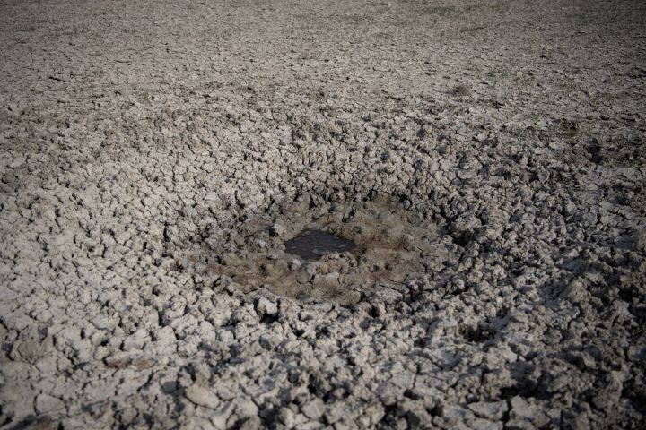 Un Lamento Para Doñana: La Realidad Desgarradora Del Parque Nacional