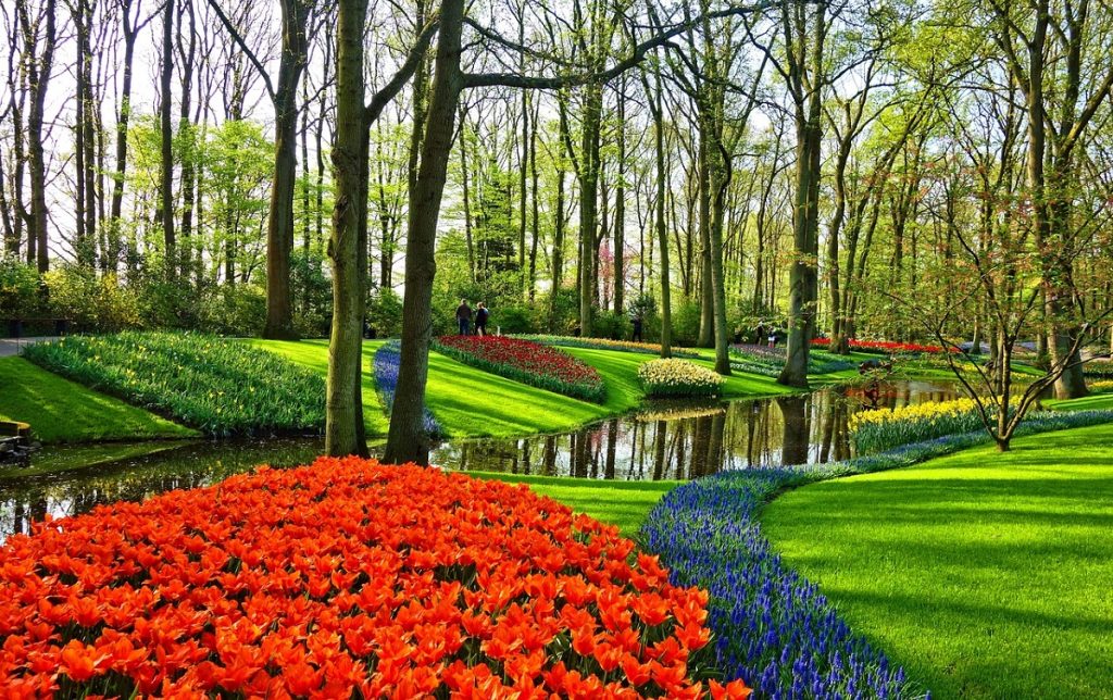 Amsterdam En Primavera