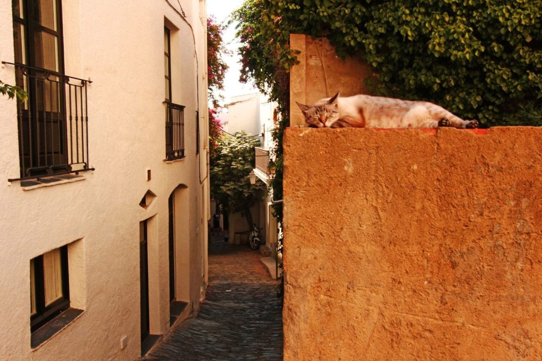 Modernismo y arte en Cadaqués: Un paseo entre casas y galerías