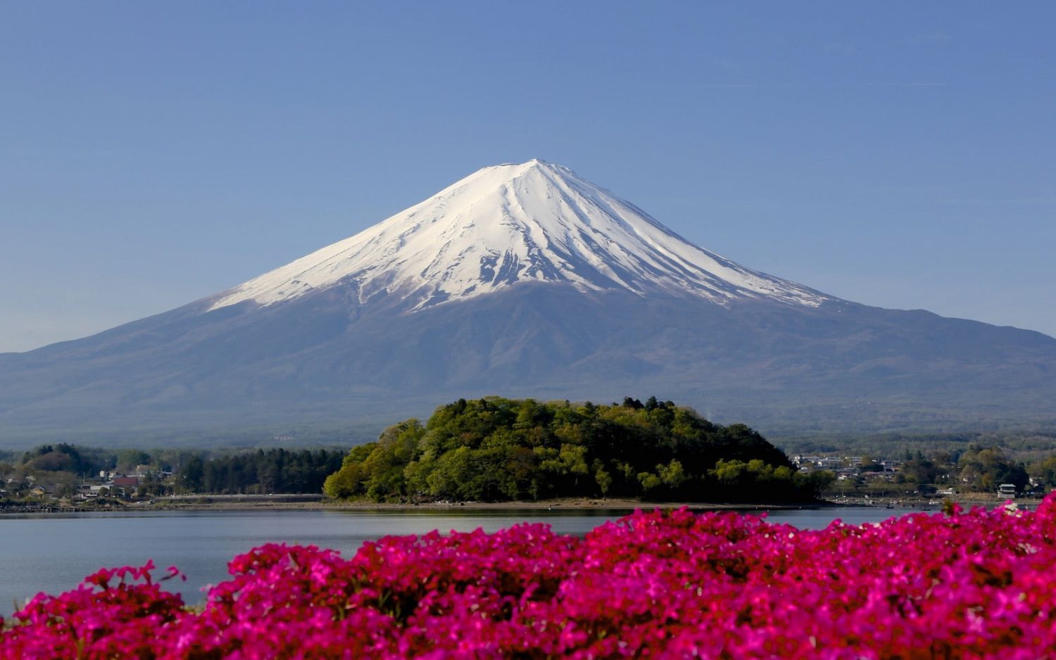 El Encanto De Hitsujiyama Park