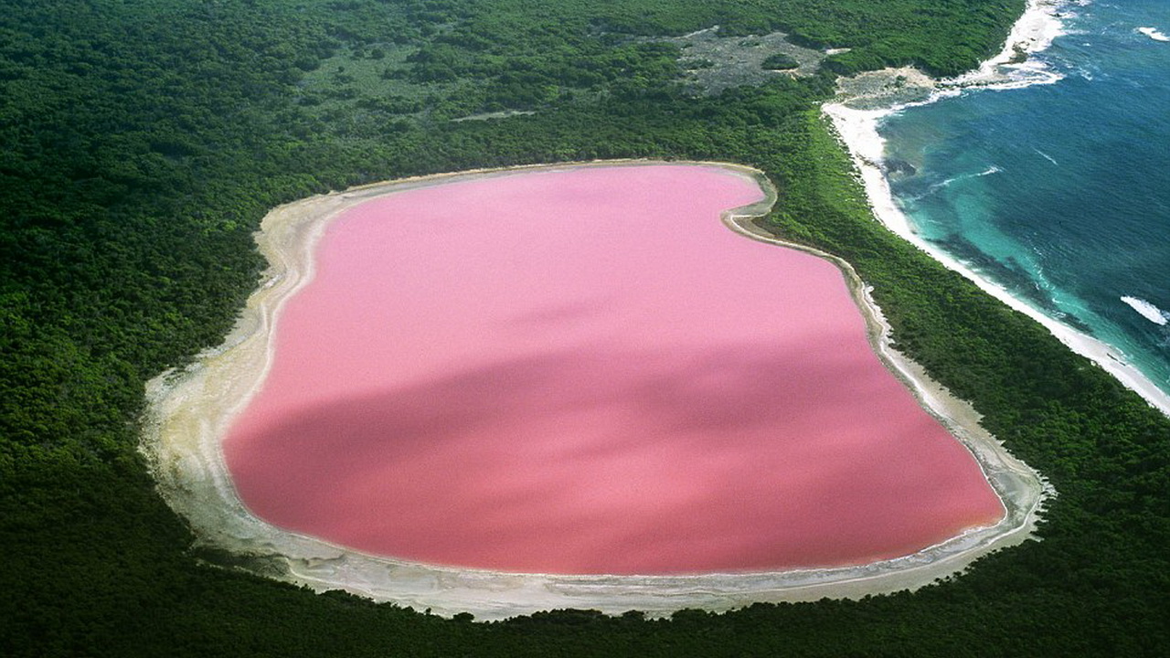 El Fenómeno Natural Del Lago Rosa