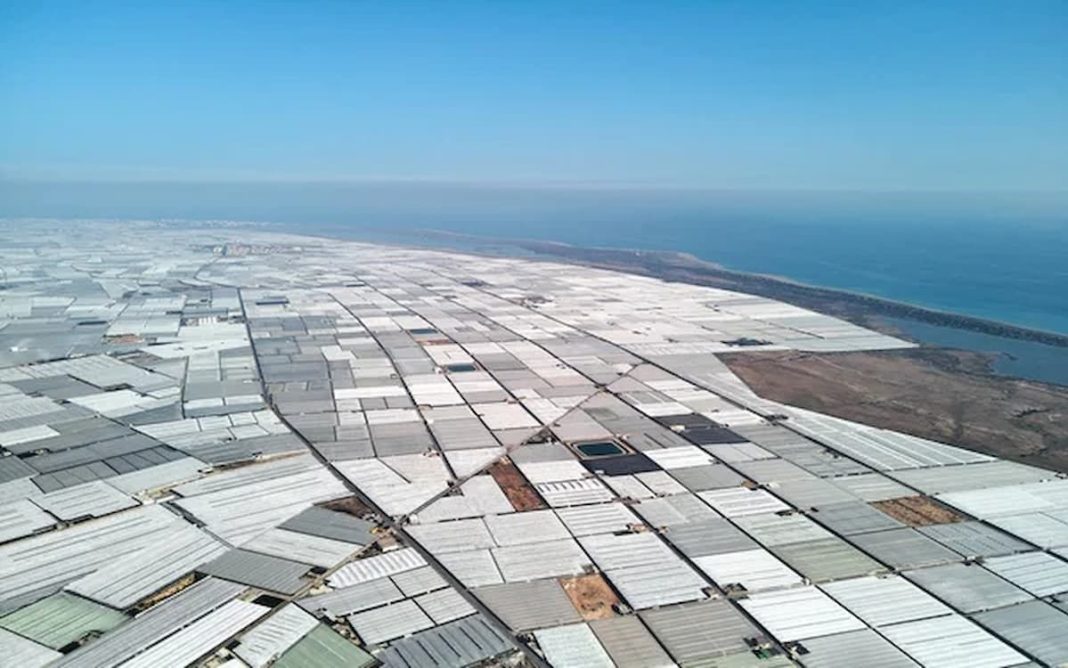 Historia y éxito económico: El auge de la agricultura de invernadero en Almería