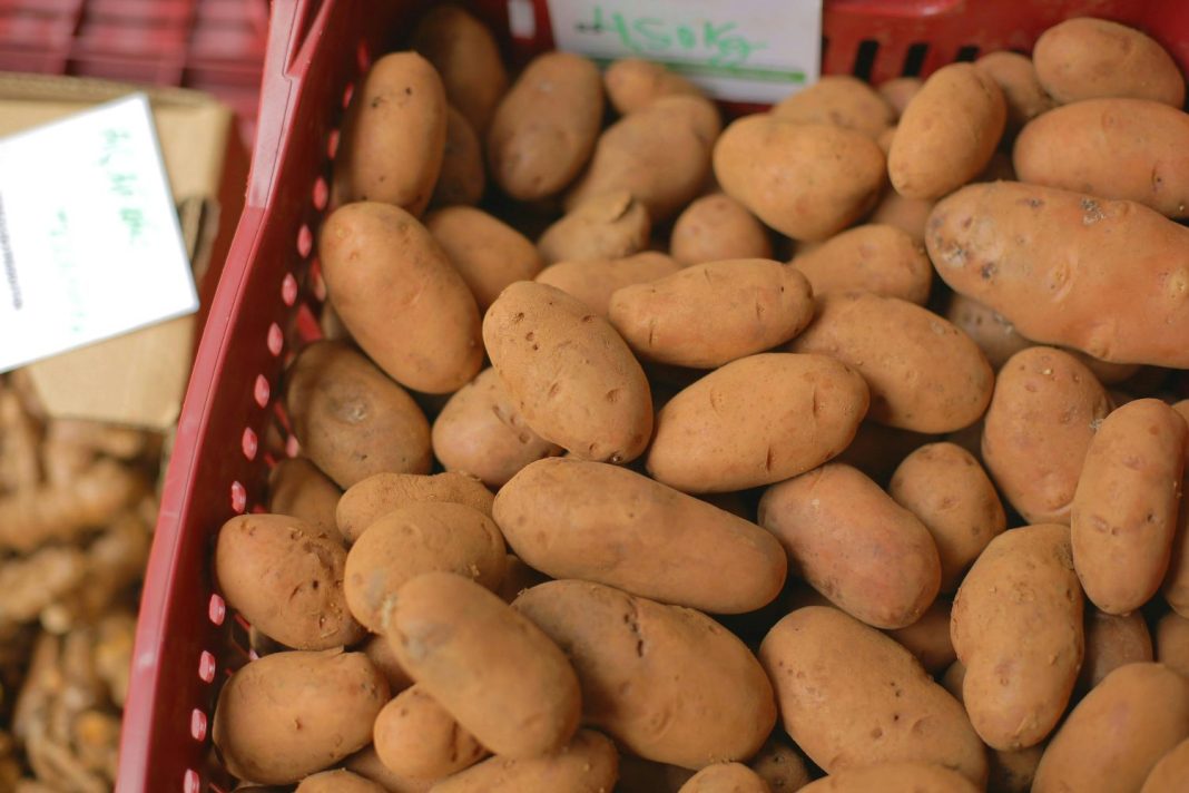 Si las patatas de tu cocina tienen brotes, ten muy en cuenta esta advertencia