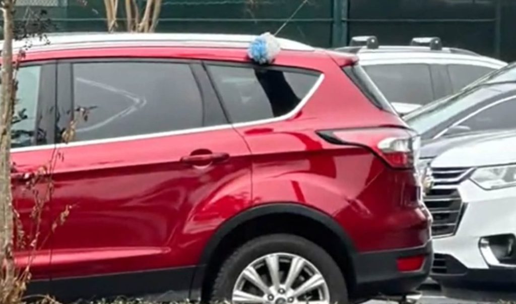 Hay Coches Aparcados En La Calle Con Esponjas En El Techo, Pero Tiene Una Explicación