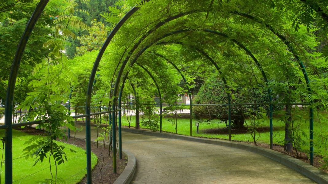 Naturaleza urbana: oasis verde y espacios relajantes