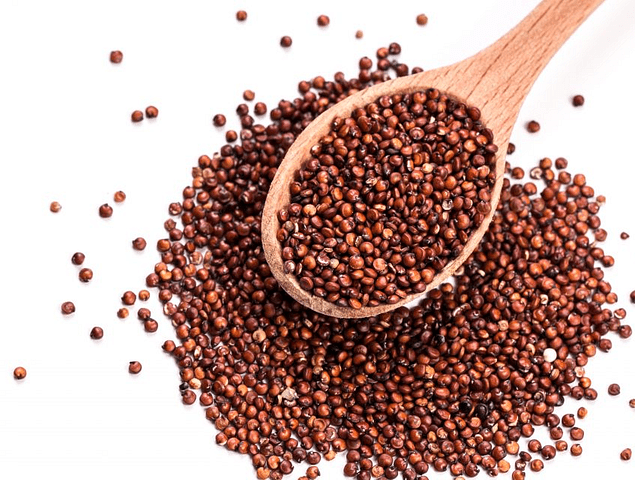 Quinoa Roja1 0F2E81501B16Aa3Def15887180971945 640 0