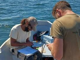 El Gobierno de Murcia destaca que el Mar Menor presenta «niveles estables»