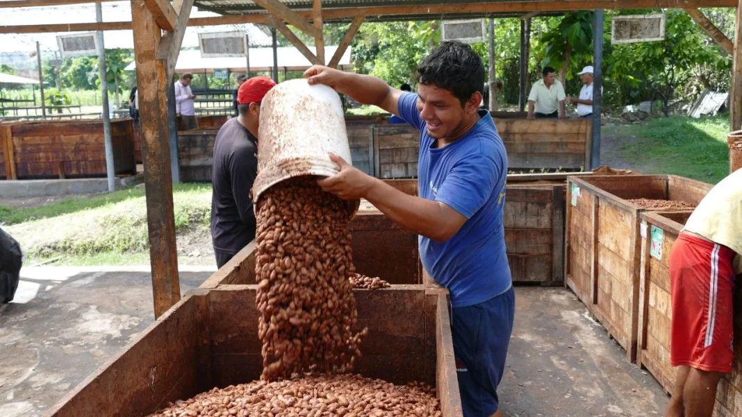 Aumento de enfermedades y plagas