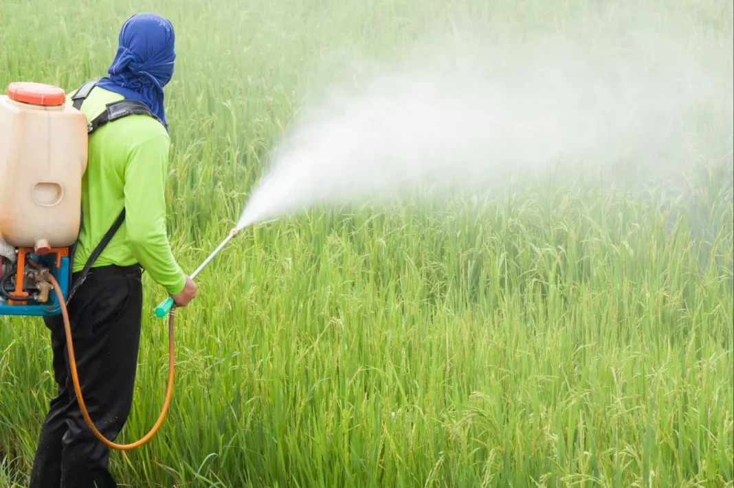 Medidas para reducir la exposición a pesticidas