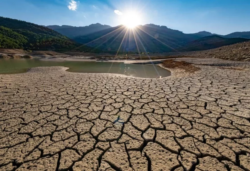 El Cambio Climático Desata Una Crisis En Los Precios Y Las Cosechas, Dejando A Los Productores Bajo Amenaza