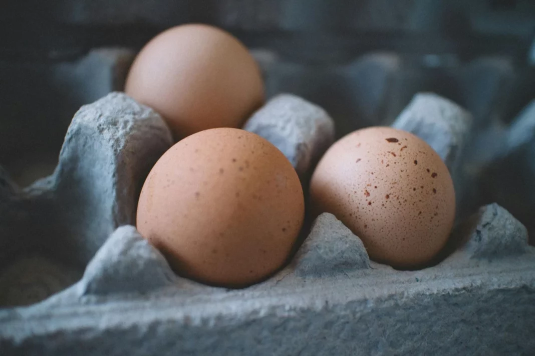 La razón por la que no debes guardar los huevos en la puerta de la nevera