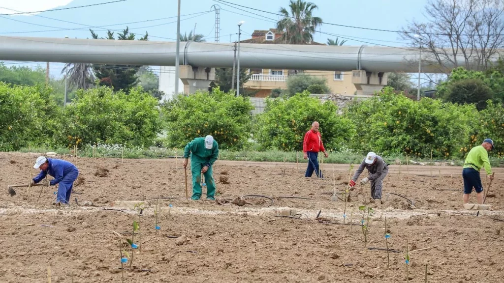 Los Agricultores Españoles Enfrentan Una Triple Amenaza: Sequía, Cambio Climático Y Competencia Extranjera