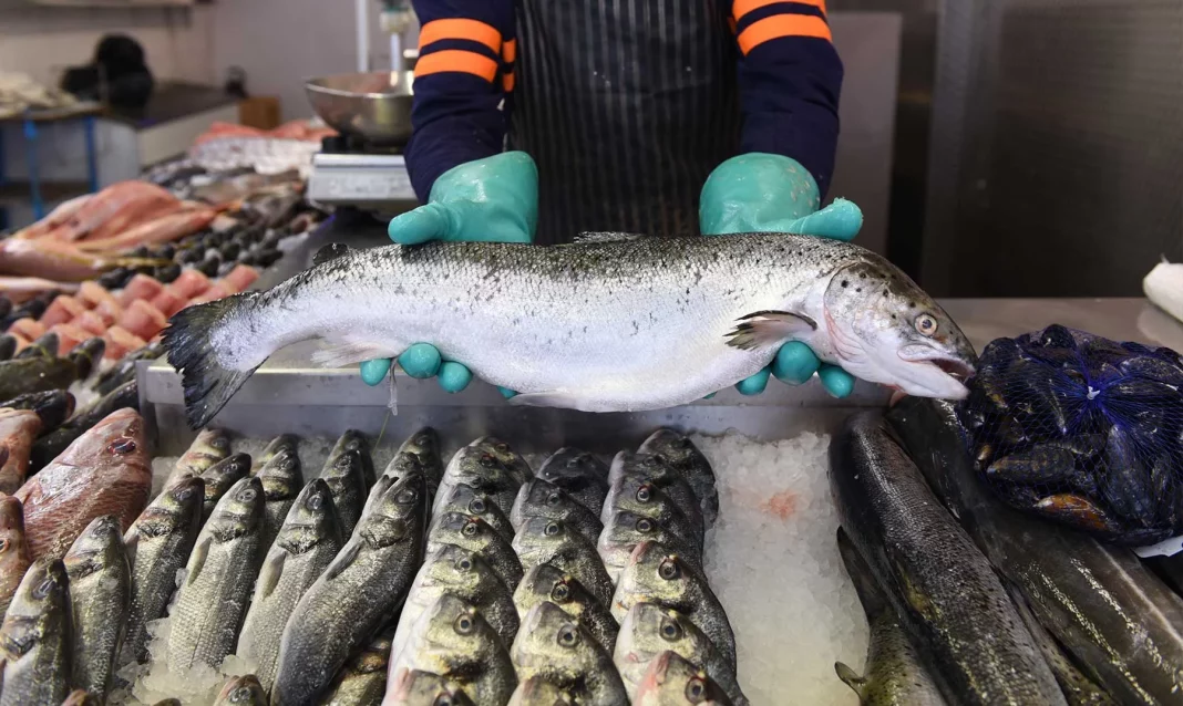 Pescados con menor contenido de mercurio y más seguros para el consumo