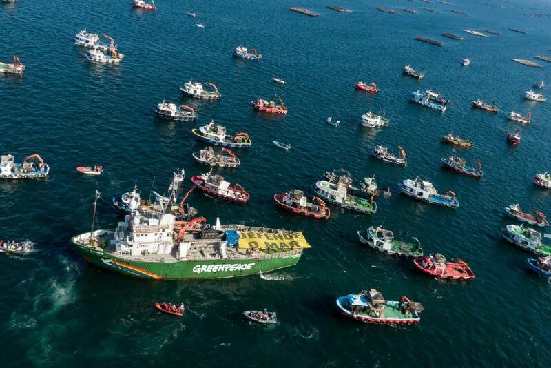 Greenpeace Pide Defender La Pesca Artesanal Y Abordar El Relevo