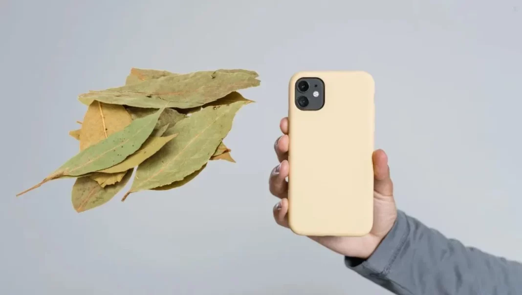 Por qué hay gente poniendo una hoja de laurel en la funda del móvil