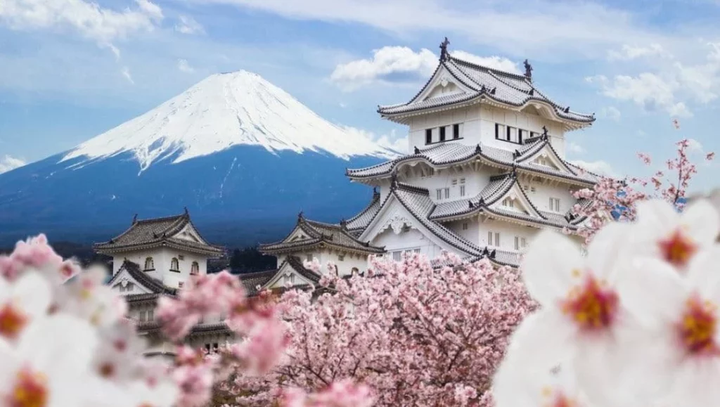 Todos Los Japoneses Van A Tener El Mismo Apellido En El Futuro, Pero Tiene Una Explicación