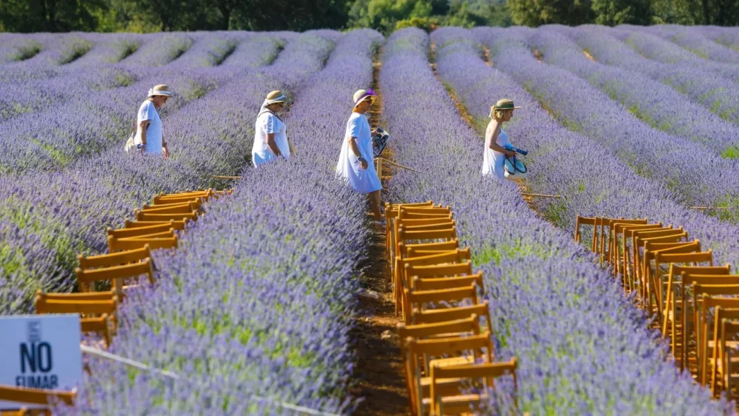 Una experiencia romántica en la naturaleza