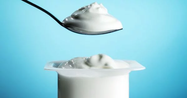 El Secreto Está En La Fermentación: Cómo Se Elabora El Yogur Probiótico