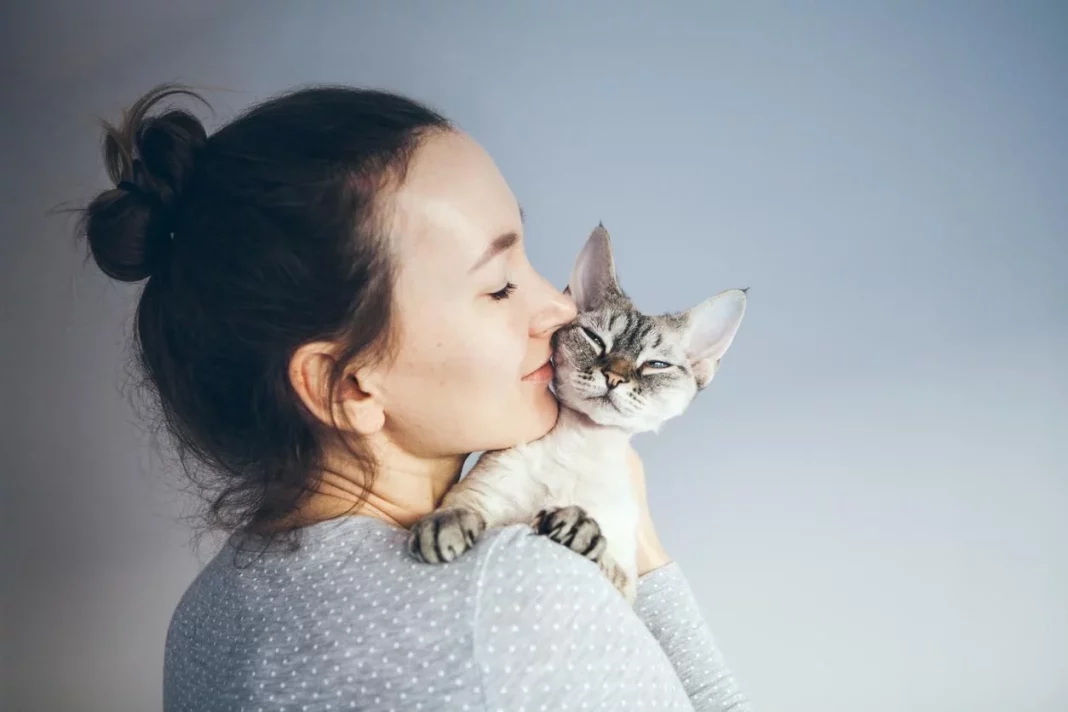 Complejidad en las relaciones gato-humano