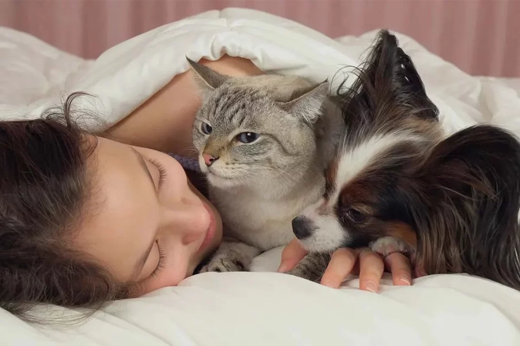 Consideraciones y consejos para dormir con mascotas