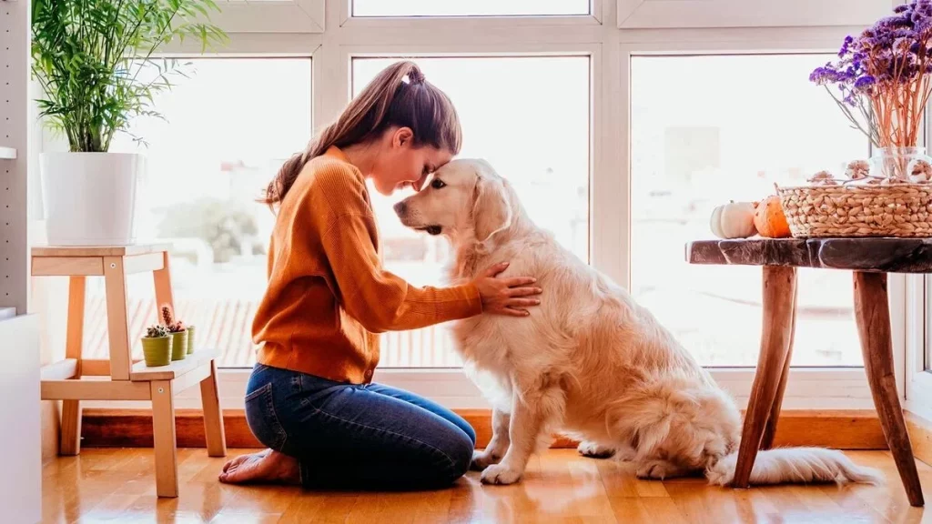 Descubre Por Qué Los Perros Escogen A Unas Personas Y No A Otras