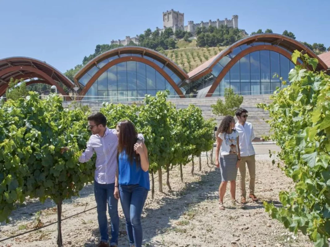 Enoturismo en Peñafiel