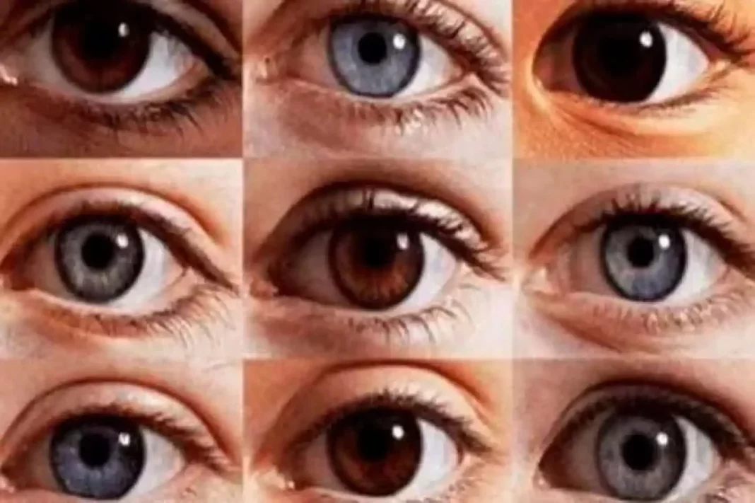 La genética del color de ojos