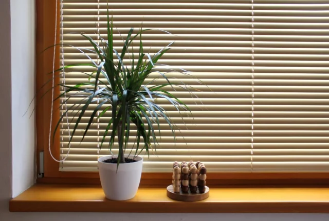 A Qué Horas Se Tienen Que Bajar Las Persianas Para Que No Entre Calor En Casa