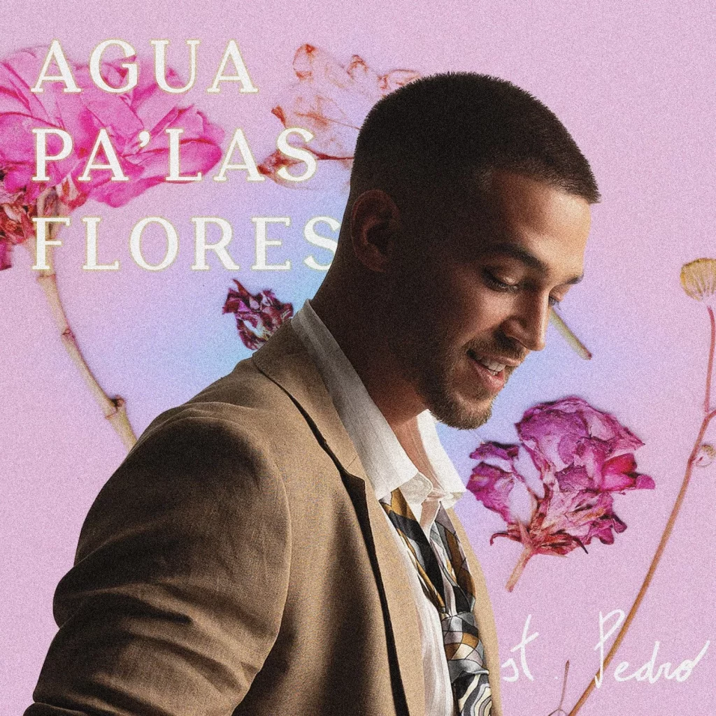 Cover Stpedro Aguapalasflores