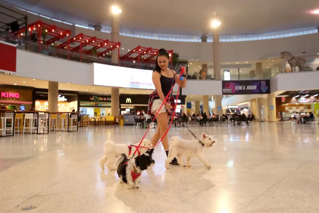 Normas generales para llevar a tu perro al centro comercial