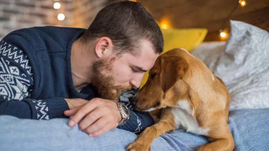 ¿Pueden Los Perros Sentir Tu Estrés? Sí, Y Además Lo Observan En Silencio