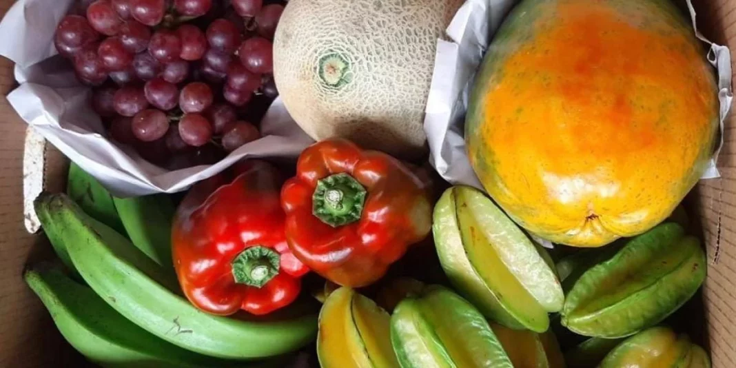 Verduras y legumbres como aliados digestivos