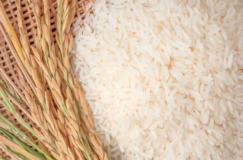 Arroz 1 828X548 1