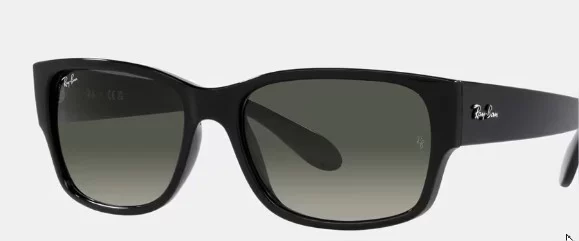 Rayban 2