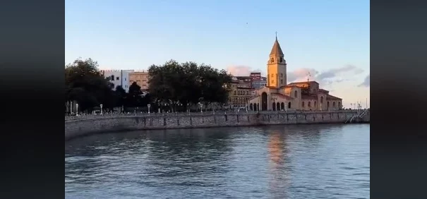 Criaturas Que Aparecen En Una Playa De Gijón3