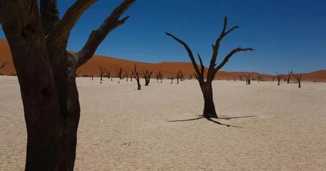 La Isla De Las Muñecas Y Otros Destinos Inusuales Que Merece La Pena Visitar Al Menos Una Vez