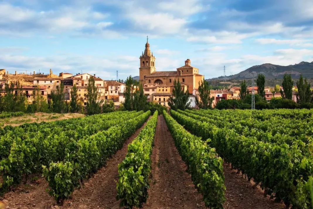 Un paseo entre viñedos y colores otoñales