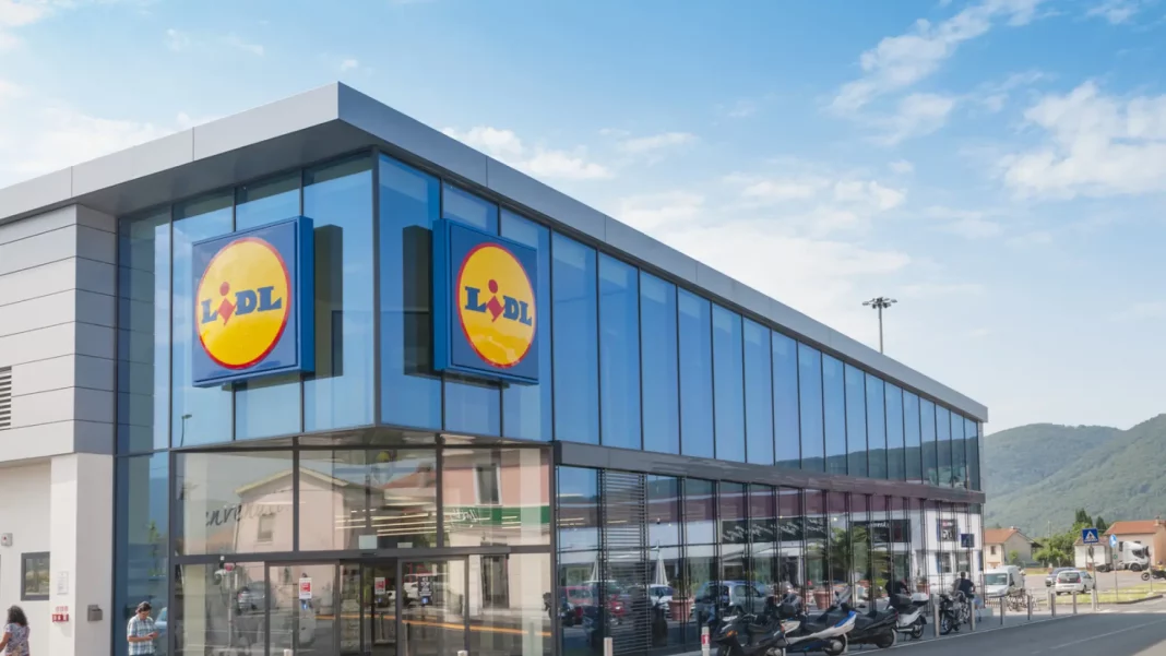 La accesibilidad y variedad de plantas en Lidl: una oportunidad única