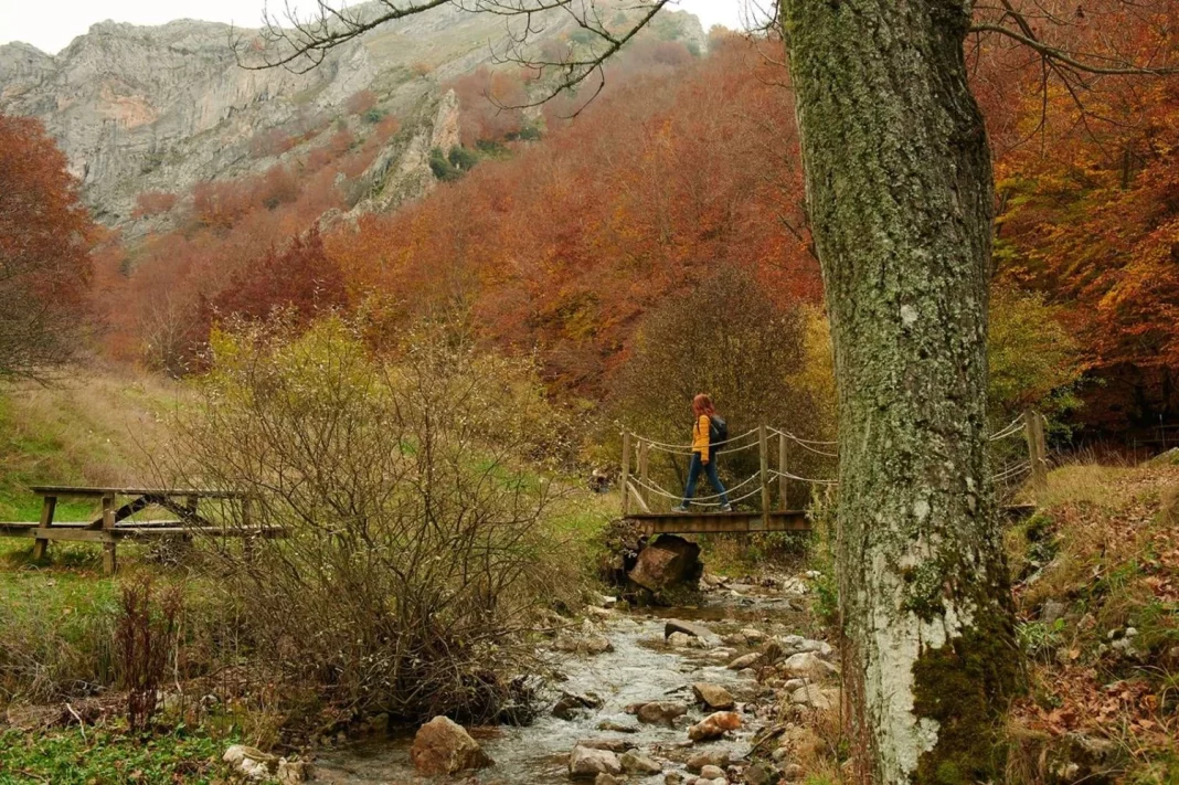 Actividades y turismo sostenible