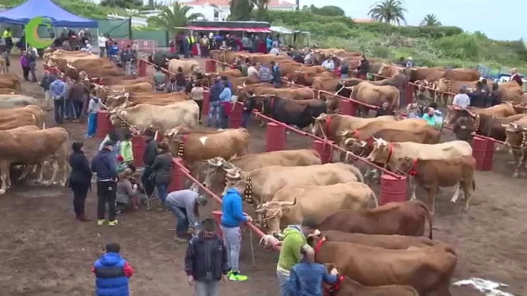 Una cita obligada: la Feria de Ganado