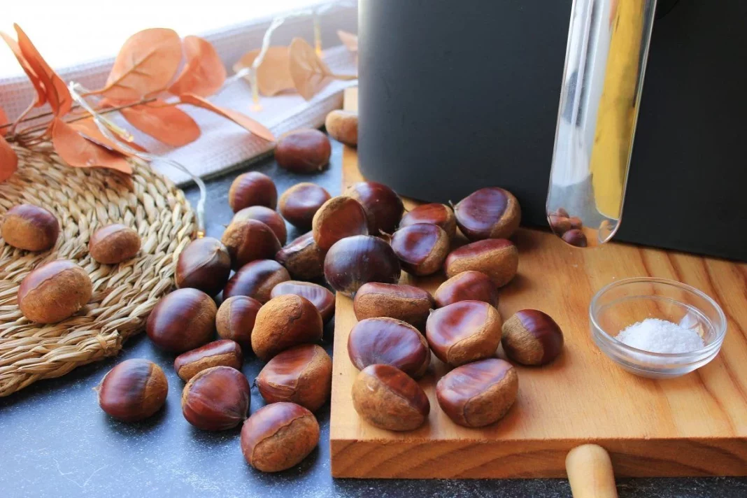 Ventajas de cocinar con la freidora de aire