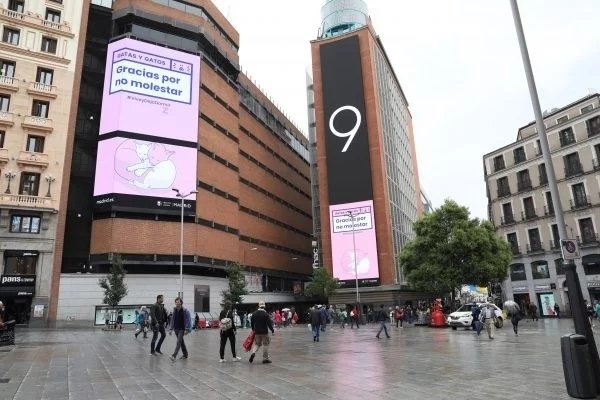 Madrid Elimina A La Mitad De Los Músicos Callejeros Del Centro