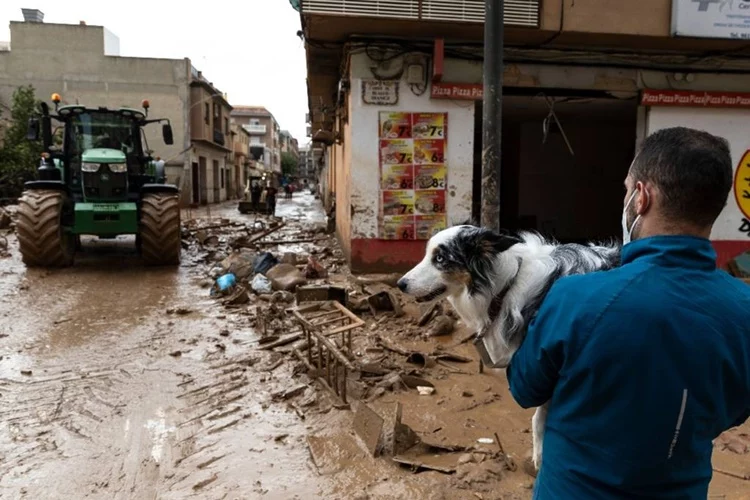 Ayuda Animales Valencia Dana