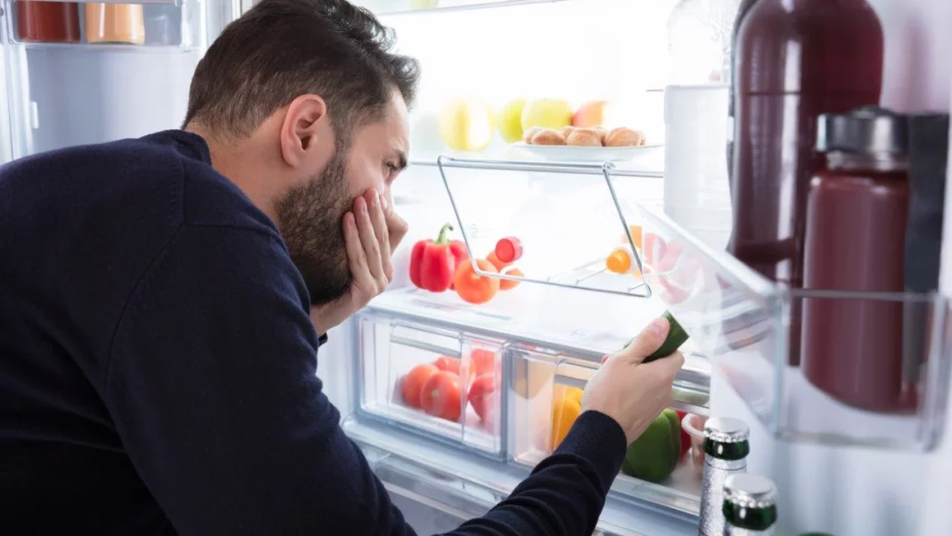 La efectividad del absorbeolores de Mercadona en la experiencia del usuario