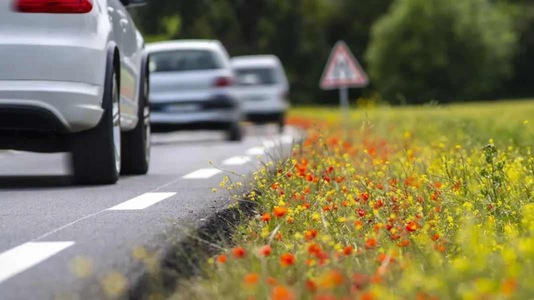 Consejos para evitar sanciones de la DGT en adelantamientos